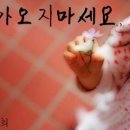 송서현's 네이버블로그