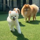 헬로우