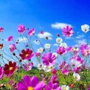앞산요양병원 네이버블로그