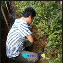 백산농장 이미지