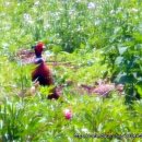 산촌사랑 이미지