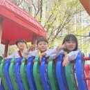 태무강울태권도장 이미지