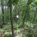 새덕산목장 이미지