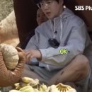 코끼리관광주 이미지