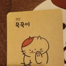 꾹꾹이테라피