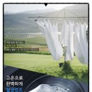 매직몰