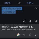 피코랩스 | [프랑스 리옹 교환학생] - 1주차 / INSA Lyon 캠퍼스 도착, 기숙사 입소, 개강 일주일 전 일상🎒