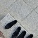 새몸만들기 | [공지] 여름이었다 밀양 표충사 청춘템플스테이 후기 (2) (feat. 배롱나무 개화 현황)