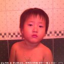 쭈니와비니 이미지