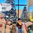 저수지목장 | 남양주 대형 베이커리카페 후탄 아기랑 오남저수지 뷰맛집 크리스마스 카페 추천