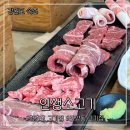 속초 청초호 고기집 인생소고기 800g 먹은 후기