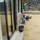 봉숙이네바닷가 민박 이미지