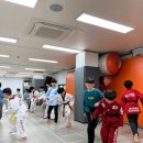 한국체대리더스태권도장 이미지