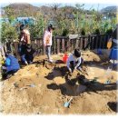 엄지창의어린이집 이미지