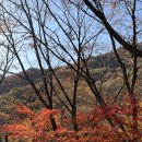 피아골 숲숨집 | 전남 지리산 단풍 명소 : 구례 연곡사 지리산 피아골 드라이브 코스