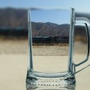 곰순이네 농원 Daum카페