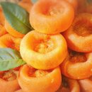 프리마트 이미지