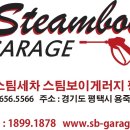 스팀게러지 이미지