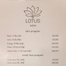 강남테라피 | 강남 에스테틱 로터스에스떼 물광 테라피 60분 후기