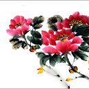 목단 이미지