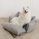 토토애견 이미지