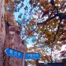 251101(토) 대둔산 단풍산행 : 케이블카+구름다리+삼선계단+마천대(두야 대장님) 이미지