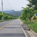 김행수농장 이미지