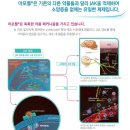 큐어벳 이미지