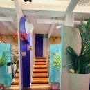 주남로 | 해운대 방어 맛집 해적쌀롱 주남로 대방어 찐 맛있는 횟집