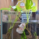 다온수산질병관리원&검역관리사무소 | 물꼬기 근황