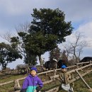 새로이밥상 | 제주도 8일간 여행 *아침미소목장, 한점 돈가스, 이호테우해변, 항몽유적지, 애월해안도로, 동경밥상