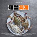 지역의 숨은 보물 : 관광문화자원 재발견 | 안동 광흥사 응진전, 보물 지정 예고…사라진 중심 불전의 맥 잇다