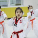 대망(태권도) 이미지