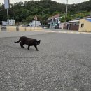 월전경로당 이미지