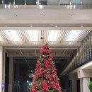 국제빌딩 | 국제 플라워 데코 광주 크리스마스트리 연말 소품 후기