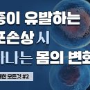 염증 줄이는 게 중요한 이유(염증 2편) 이미지