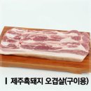 공육사 이미지