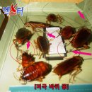 도봉-도봉-서울도봉-2138 이미지