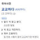 교교하다 네이버블로그