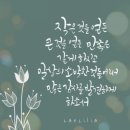 온누리교회 이미지