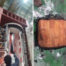 착한나무 이미지