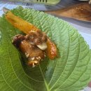 캔버라비즈텔 | 물반고기반꼼장어 | 창원 중앙동 야장 맛집