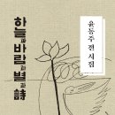 삼경요양병원 | 윤동주 전 시집 하늘과 바람과 별과 시 서거 77주년, 탄생 105주년 기념 『하늘과 바람과 별과 시』 (2022)
