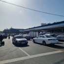 청솔청과 | 울산 농수산물시장 설날 명절 차례상 과일 샀어요~