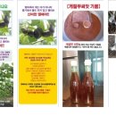 보한농장 이미지