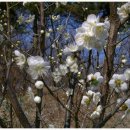 인후공원(배수지) 이미지