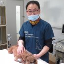 태민동물병원 네이버블로그