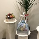 달푸르츠 이미지