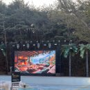 인앤양양 | 양양 가성비 숙소 더앤리조트숙박후기/가든온/스파온/조식 후기