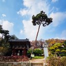 봉은사판전현판 | 봉은사를 둘러보니 이런곳도..//25년12월5일